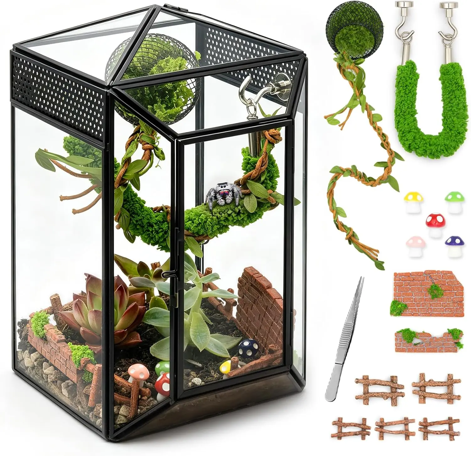 Gothic Design Glass Escape-Proof Terrarium Kit - Jumping Spider & Arboreal Tarantula Enclosure with Habitat Setup, Desktop Critter Keeper (No Plants), Home Decor