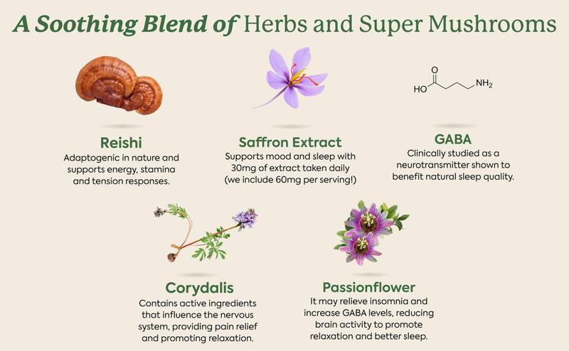 WonderSleep Mushroom Gummies by Plant People - Sugar Free, Melatonin Free, All Natural Sleep Gummy Supplement Healthcare Dietary