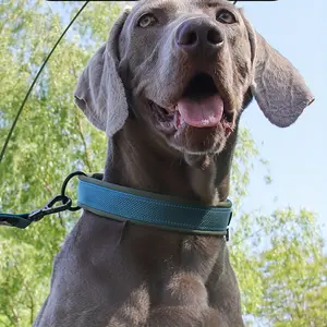 1 Reflective Adjustable Small Dog Collar - High-Quality Shockproof Safety Cartoon Pattern Polyester Pet Collar with Secure Buckle Suitable for Nighttime Walking and Daily Use, Durable and Designed for Safe Owners