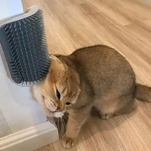 Self Groomer Kitty Brush
