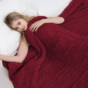 Electric Heated Blanket Throw Size 50"×60" with 9 Heating Levels & 1-10 Hs auto Off, Double Sided Sherpa, Energy Efficient, Machine Washable, for Couch & Office, Red