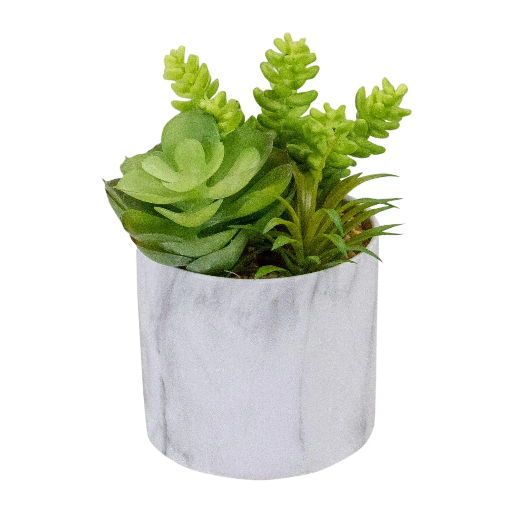 Northlight 6.5" Artificial Succulents in Faux Marble Pot