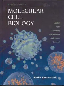 USED-Molecular Cell Biology by Harvey Lodish (Hardcover)
