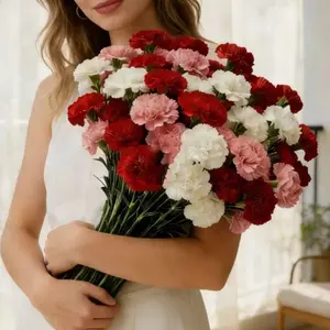 24pcs Artificial Carnation Bouquet, Mixed Color Fake Flowers for Home Decor, Wedding, Memorial, Cemetery, Long-Lasting, No Maintenance Needed