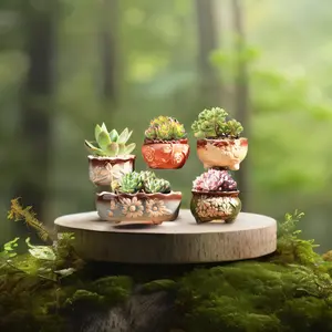 5-piece set Succulent flower pots, ceramic pots, small succulent plant special pots Ceramic flower pots