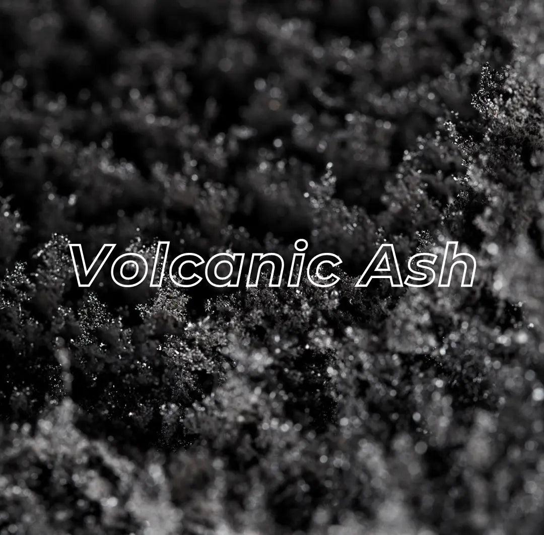 Exfoliating Scalp Scrub