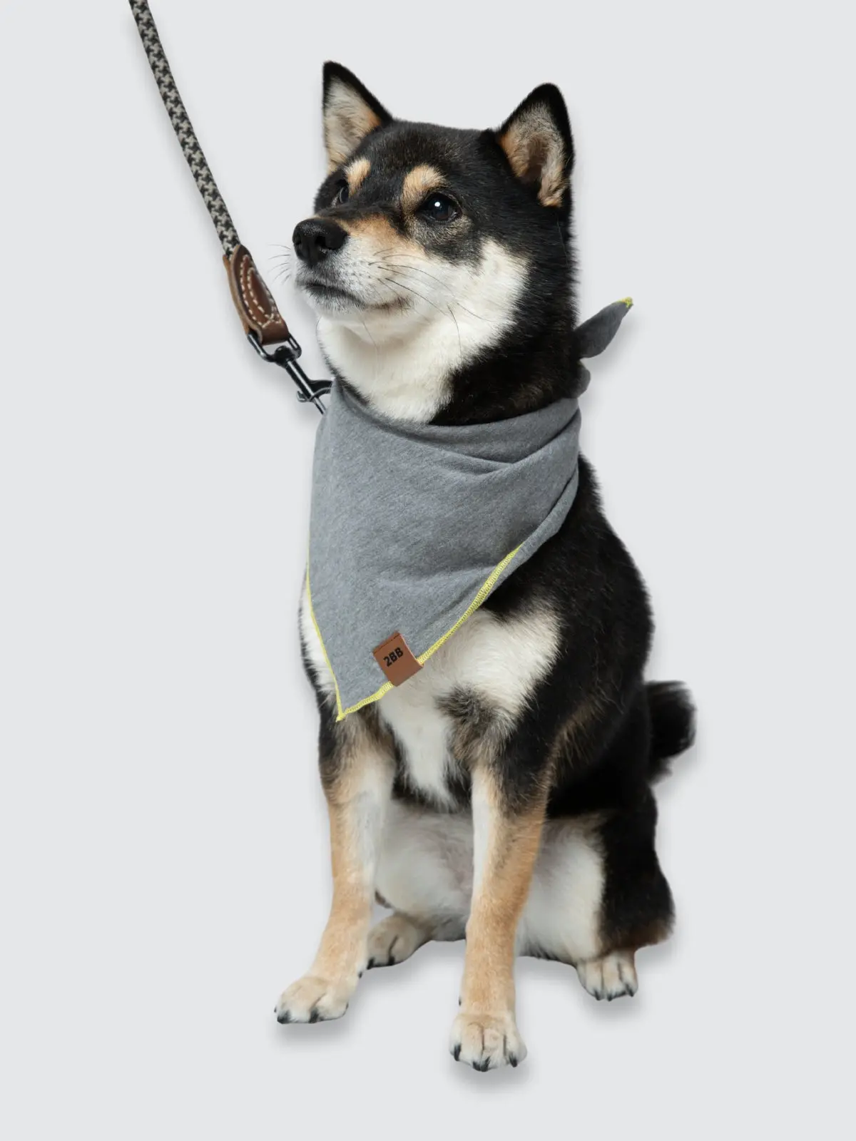 Dog Bandana
