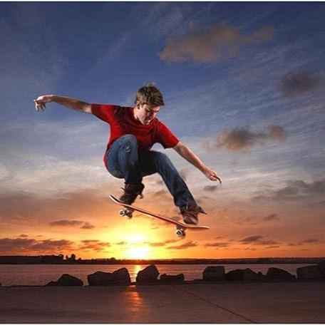 31x8 Inch Skateboard Complete for Beginners,7 Layer Maple Wood Double Kick Concave Skate Boards, Tricks Skateboards for Youths,Beginners,Girls,Boys,Kids,Teens,Adults