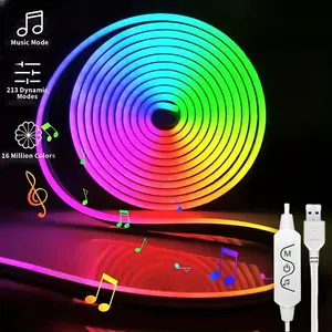 RGB Neon Light, USB Powered with 3 Button Control, Music Mode RGB LED Rope Light for Bedroom, Living Room and Game Room, RGB Light Strip, Led Neon Lights