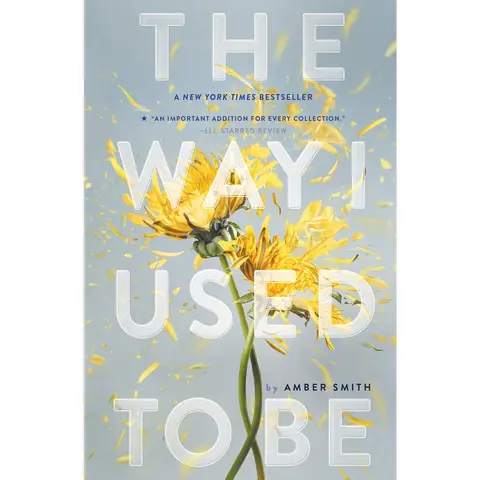 Used Fiction Novel - The Way I Used to Be by Amber Smith - English Literature Books, Best Selling Novels, Paperback, Trauma Realism Literature & Art Genre, 0.74lb Lightweight Book
