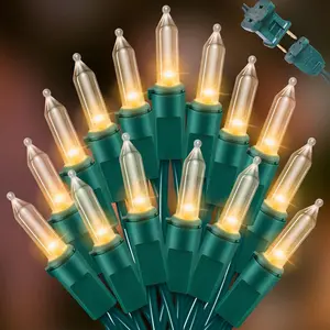100 Mini LED Count Warm White - String Lights - 21.6FT LED ChristmasLights, Mini led Lights for  Holiday Party Wedding Independence Day Decoration