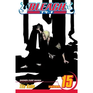 USED-Bleach, Vol. 15: Beginning of the Death of Tomorrow by Kubo, Tite (Paperback)