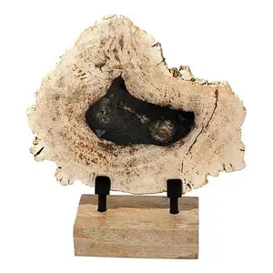 Kalifano Petrified Wood Slice with Display Stand