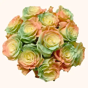 Easter Egg Rainbow Tinted Roses