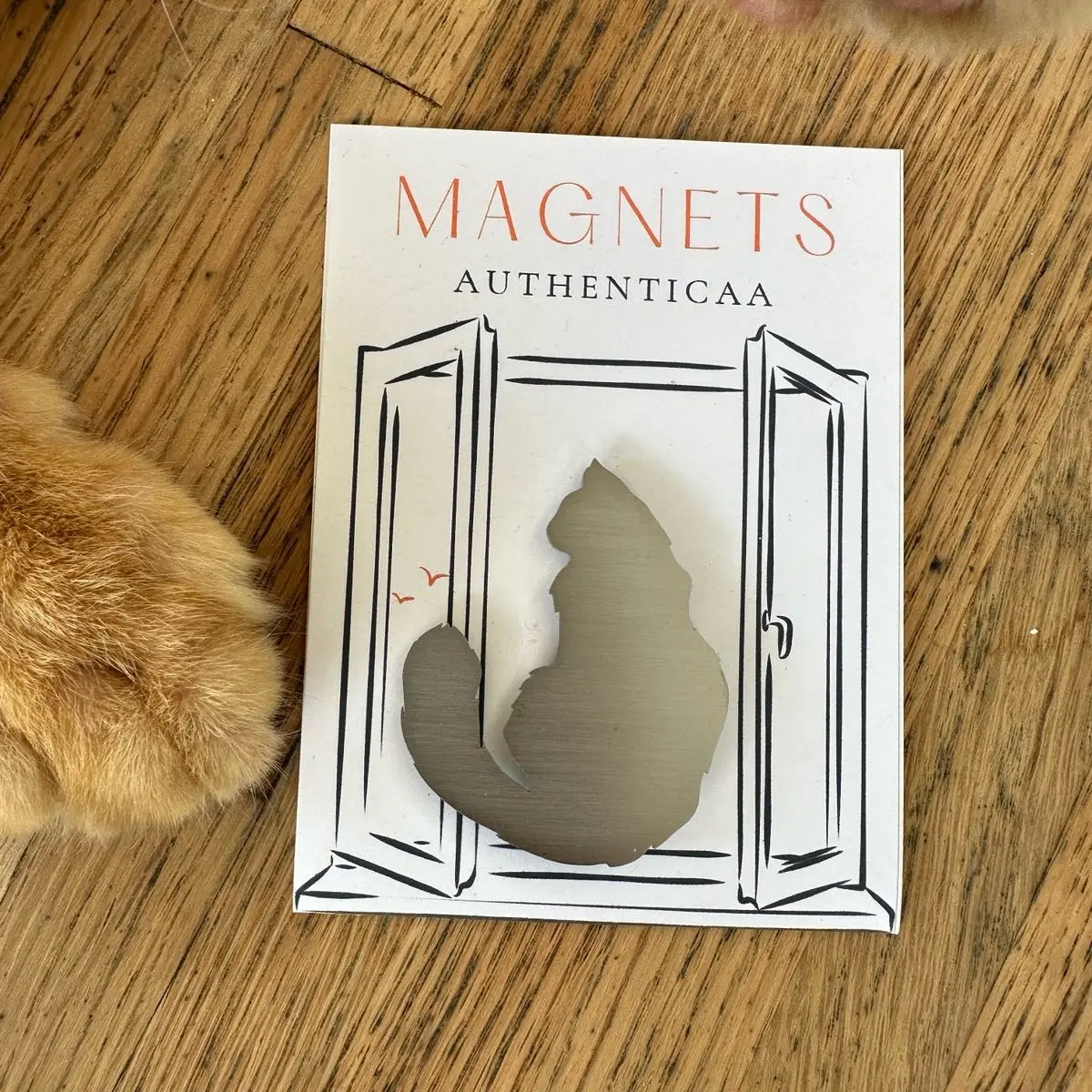 Fluffy Cat Magnet - Stainless steel - Illustrated Card - Made in USA