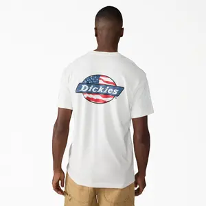 Dickies  Americana Logo Fill Graphic T-Shirt