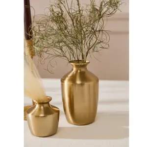 Harrison Budvase