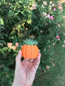 Modern 3D Printed Pumpkin Succulent Planter with Drainage - Indoor Office Home Decor Gift