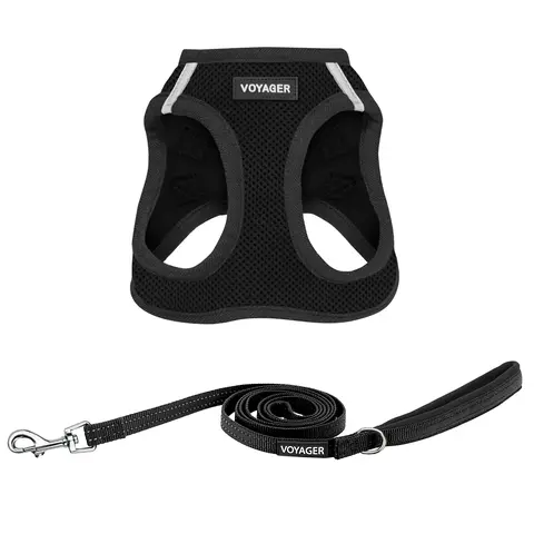 Voyager Step-In Air Dog & Cat Harness and Leash Set No Pull - Breathable Mesh Vest with 5ft Reflective Neoprene Leash for Small Medium Dogs & Cats - Adjustable, Easy Step-In by Best Pet Supplies