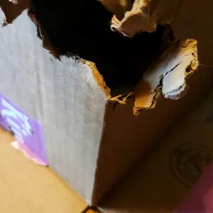 review image 2