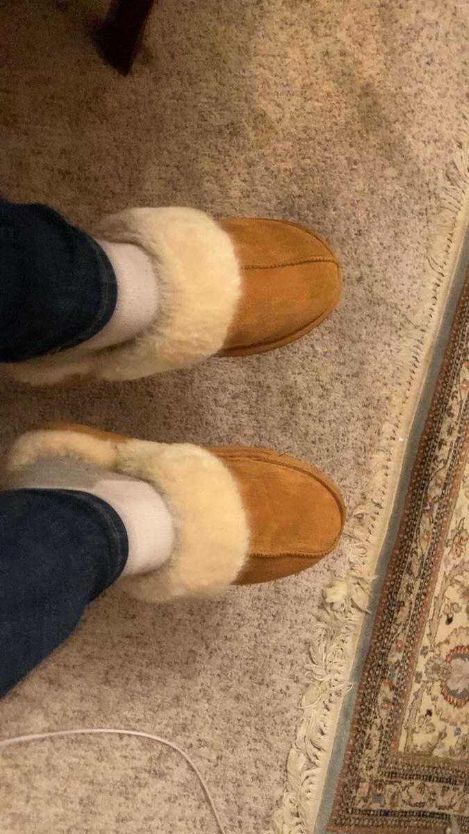 Item: Chestnut, 10 Medium