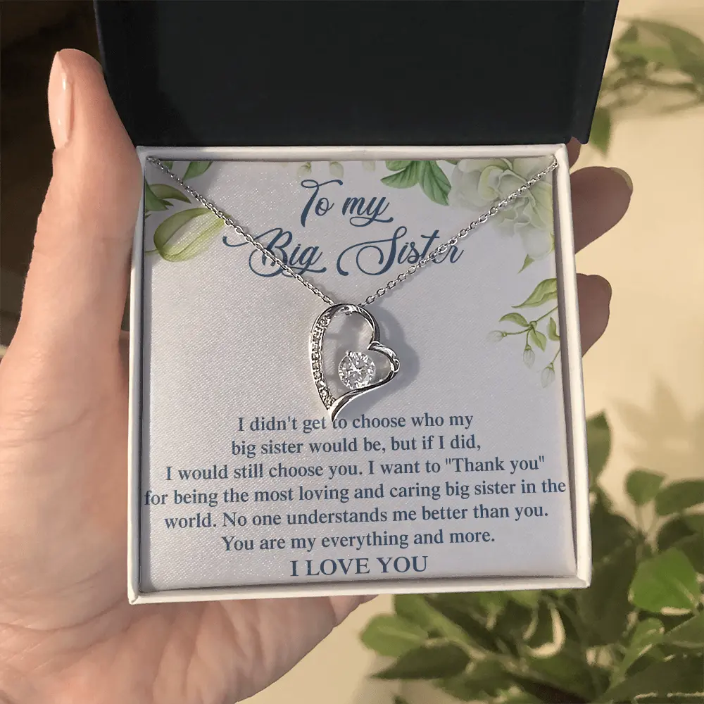 "To My Big Sister" Forever Love Heart Necklace - Silver Plated Cubic Zirconia Pendant Jewelry, Sentimental Birthday Christmas Appreciation Gift for Older Sister