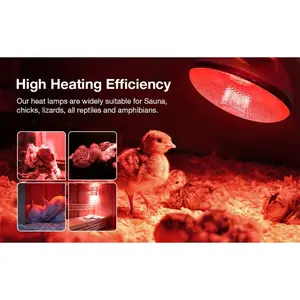 2 Pack 250W Red Infrared Glass Heat Lamp Bulbs E26 Base Flood Light for Food Service Brooder Chicks Pet Bathroom Light Therapy Use