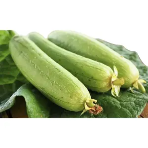 Vietnam Smooth Luffa Gourd Seeds Mướp Hương Organic for Warm Season Spring to Early Summer Harvest 55-70  by MAI'S FAMILYDays