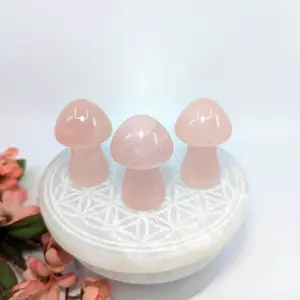 Rose Quartz Large Mushroom Crystal Unconditional Love