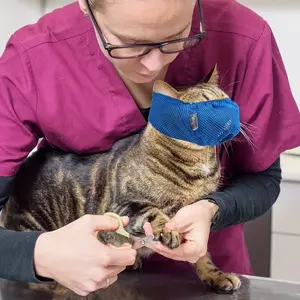 Breathable Pet Cat Mask, Random Color, Anti-Bite, Anti-Licking, Anti-Chewing, Adjustable Magic Tape, Multifunctional Cat Mouth Cover