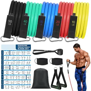 Exercise Resistance Bands with Handles for Working Out, 150/200/250/300 lbs Workout Bands Set with Door Anchor for Physical Therapy, Yoga, Pilates