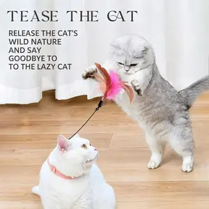 2pcs Collar Style Cat Wand, Self-entertainment Cat Toy, Head-mounted Feather with Bell, Interactive Pet Toy. Perfect for indoor cat play, free hands and easy interaction for pet owners.