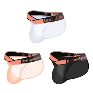 Men's Briefs Silky Smooth Sexy Seamless Lingerie See Through Low Rise Bikini Panties Breathable Convex Underpants