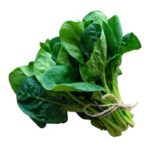 2800+ Spinach Seeds Vibrant Leafy Greens Non-GMO Heirloom Bulk Pack for Home Garden Nutritious Leafy Greens 50g 11x16cm