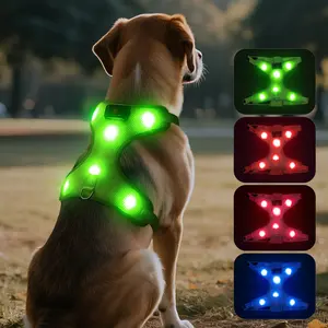 LED Light-Up Dog Harness – Rechargeable, Washable Pet Vest with Removable Battery, No-Pull Safety Harness for Small, Medium & Large Dogs, Night Walking & Camping Gear