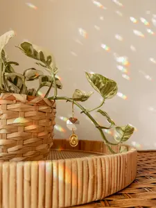 Plant Vine Charm - Cowboy Hat & Hanging Suncatcher - Houseplant Accessory - Indoor Garden Art - Hangable Sun Catcher Crystal - Boho Home Decor