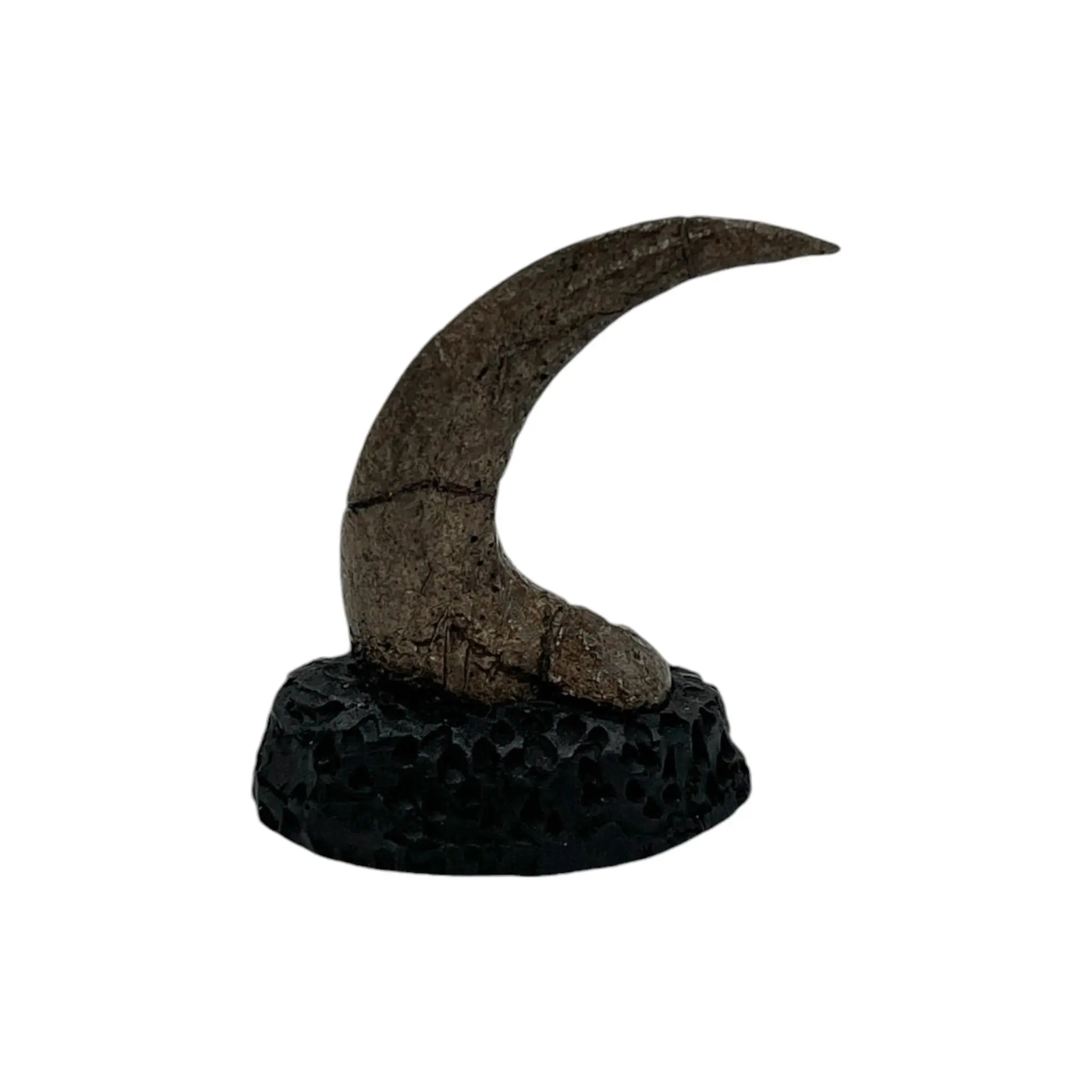 Velociraptor Killing Claw Replica + Base - Cretaceous Dinosaur