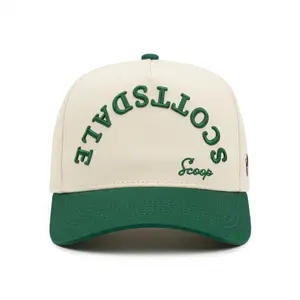 Upside Down Scottsdale Scoop Snapback Hat