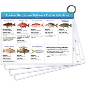 Florida Saltwater Fish& Shark Identification Set–4 Double-Sided Waterproof Quick-Reference Angler Fishing Guide Cards with Fishing Regulations, FWC Rules,Size Limits&80+ Fish&Sharks in Real Photos| Ring Binding,8.2x6inch