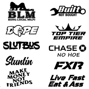 Random Decal Pack 15 Pack of Vinyl Decals for Visor Tint Stylish Car Merch Windshield Sticker Easy Application Variety in Pack