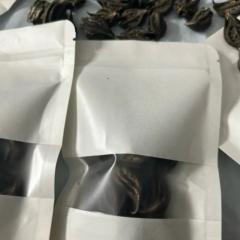 WARABA Sorii (griffe de lions)spiritual purpose  Plant evils spirits