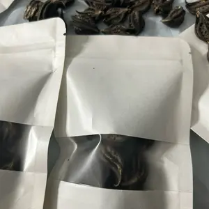 WARABA Sorii (griffe de lions)spiritual purpose  Plant evils spirits