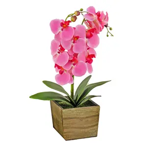 21 in. Spring Pink Orchid Flower in Wood Box