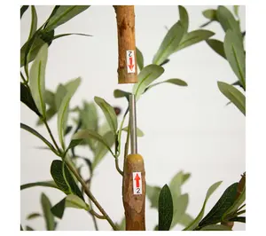 Nearly Natural 7' Artificial Olive Tree with Natural Trunk