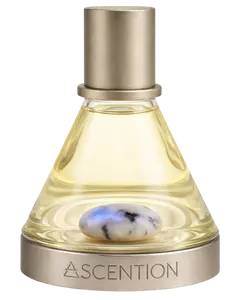 Ascent to Enchant Imbued In Rainbow Moonstone | Perfume Elixir