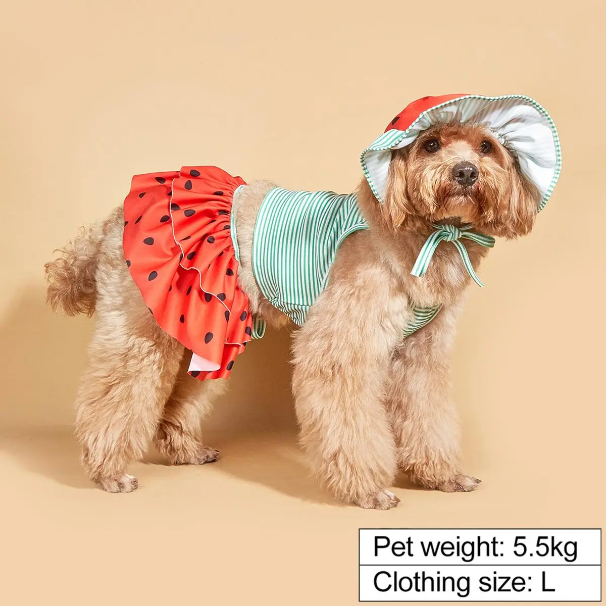 Watermelon Print Pet Dress Set (3pcs), Small Dogs Cats Pet Dress with Hat, Summer Beach Bathing Suit Swimwear for Dog and Cat