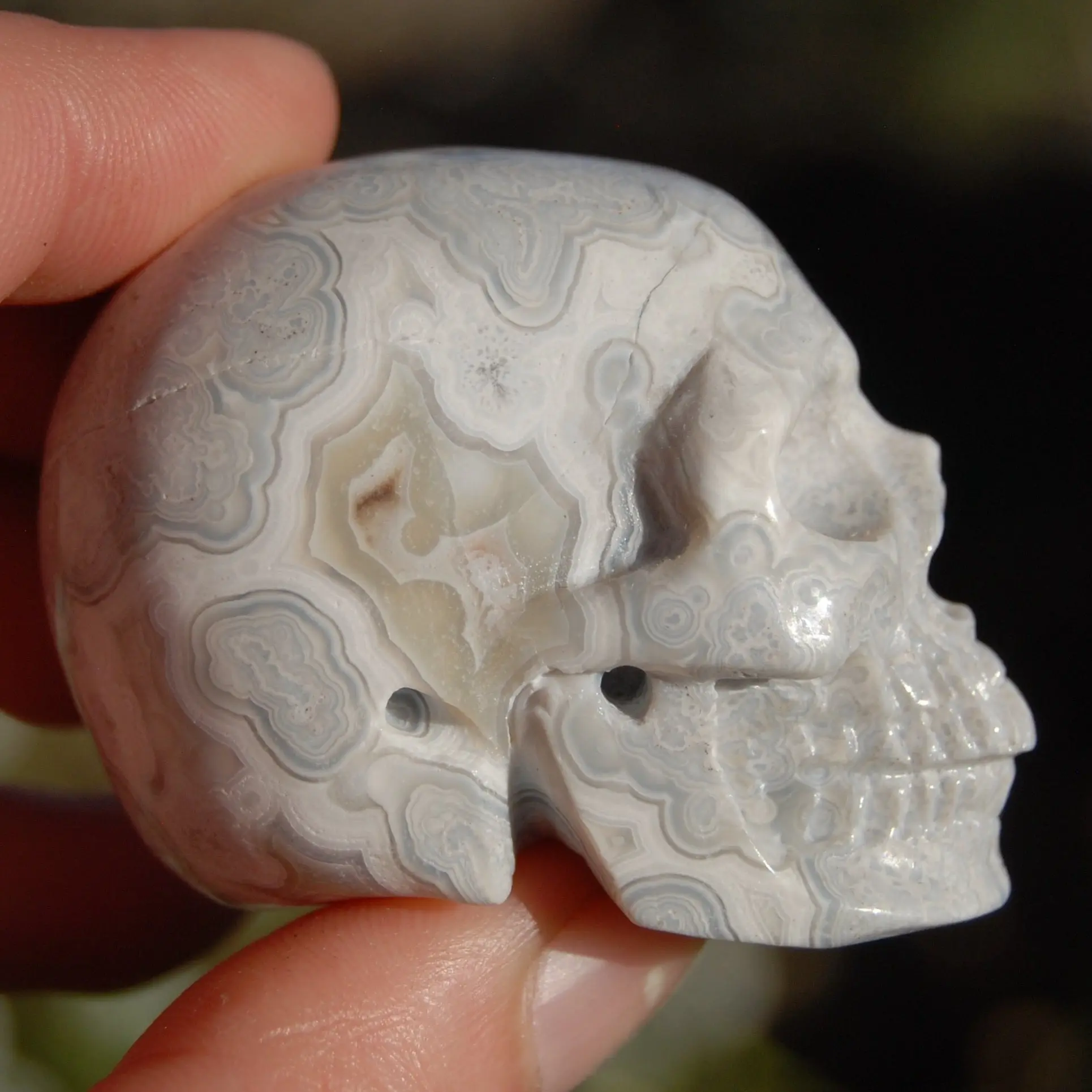 2in Laguna Lace Agate Crystal Skull