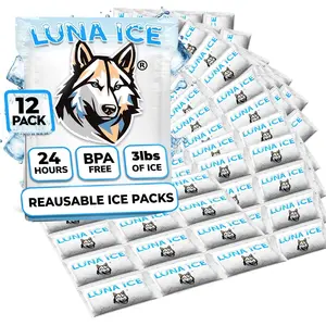 Dry Ice Packs for Shipping - Long Lasting ice Packs - 24+ Hour Freeze Power - BPA Free - 12 Pack Bulk 3 lb – Hielo Seco - Reusable Gel Bricks for Food