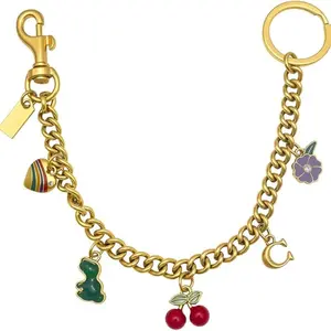 Bag Chain Charm for Handbag, Purse Wallet &Pants Chain Jean Chains, Vintage Bag Strap Chains Extender