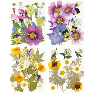 Dry Embossing, 81 PCs Bulk Dried Flowers Dry Leaves DIY Arts and Crafts, Epoxy Resin Jewelry Mold, Candle, Soap Making, Fingernail Decoration, Gift